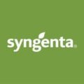 syngenta Maroc